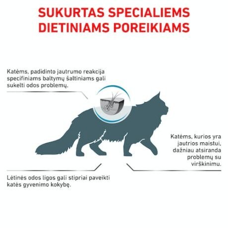 Royal Canin Anallergenic sausas maistas katėms 2 kg