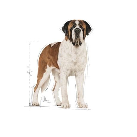 Royal-Canin-Giant-Adult