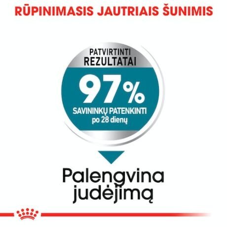 Royal-Canin-Maxi-Joint-Care1