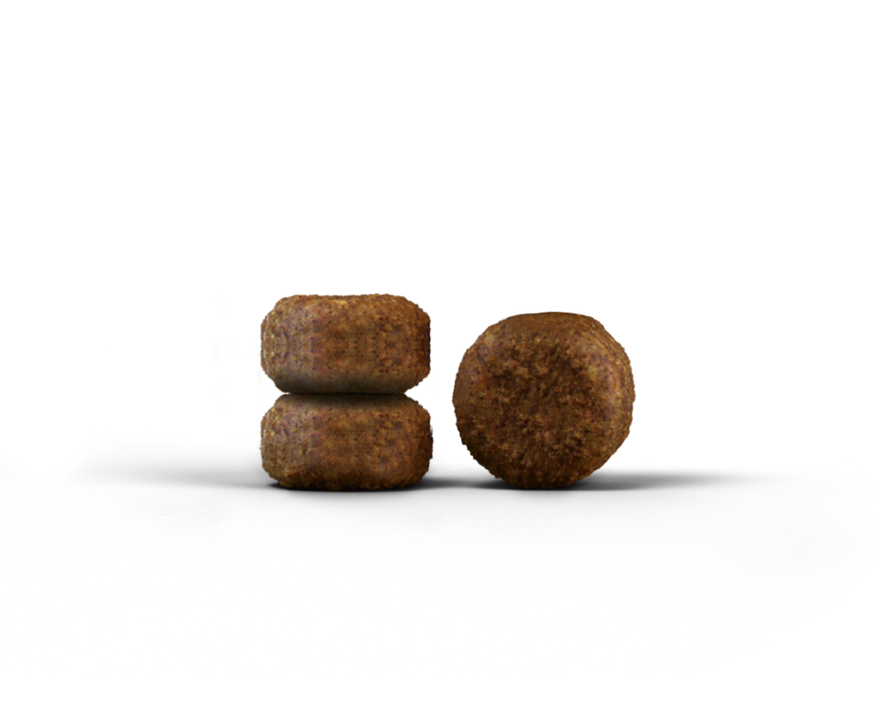 02_JOSERA_DailyCat_Kroketts_LT
