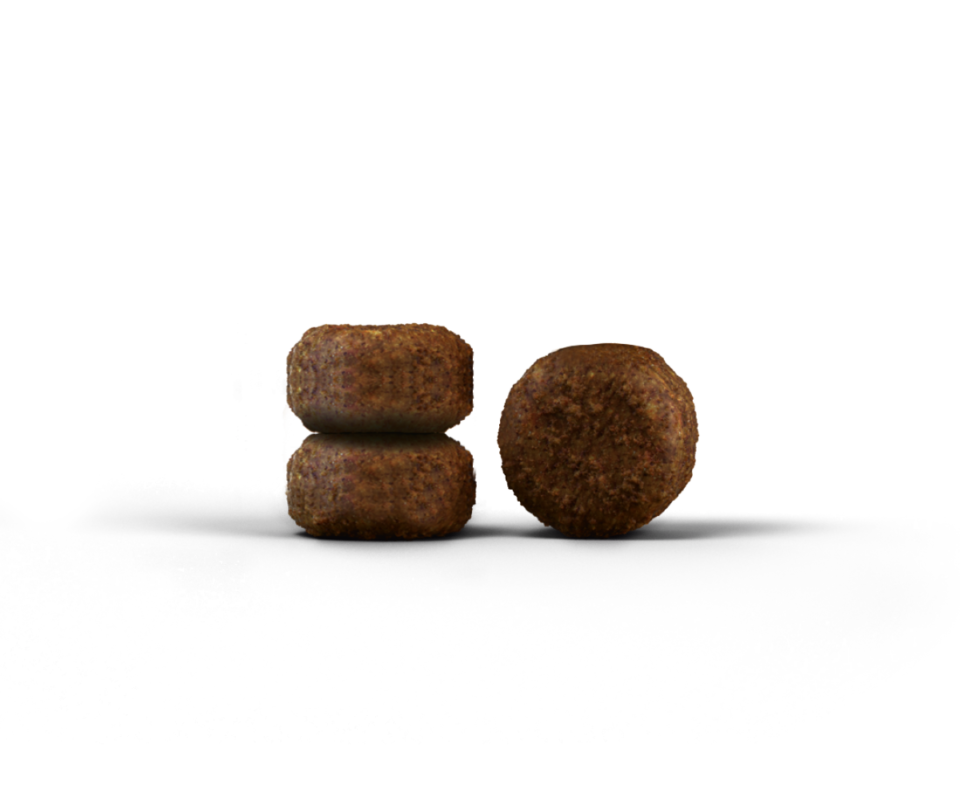 02_JOSERA_Senior_Kroketts_LT