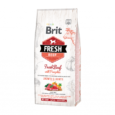 Brit-Fresh-Beef-with-Pumpkin-Puppy-Large-12-kg