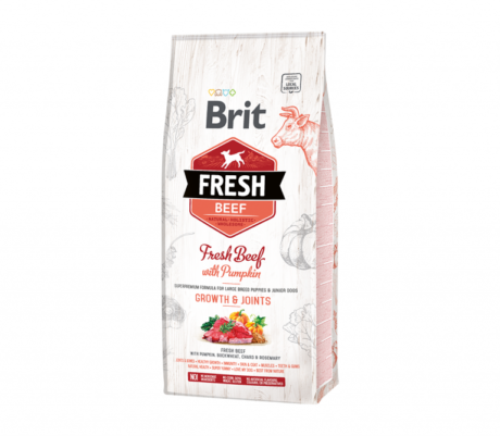 Brit-Fresh-Beef-with-Pumpkin-Puppy-Large-12-kg