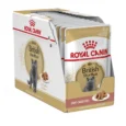 Royal-Canin-British-Shorthair-konservai-padaze