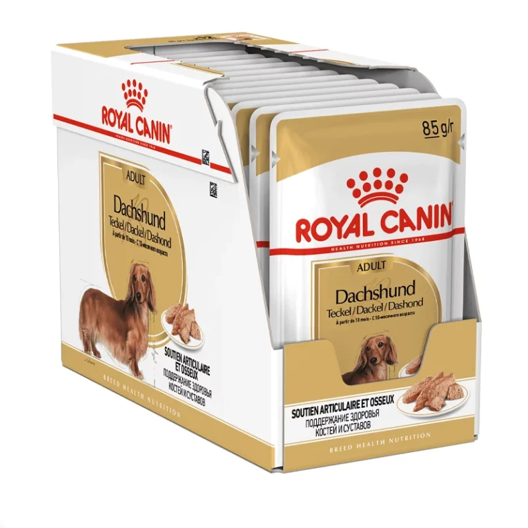 Royal-Canin-Dachshund-Adult-konservai-sunims