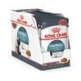 Royal-Canin-Hairball-Care-konservai-padaze