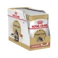 Royal-Canin-Maine-Coon-konservai-padaze