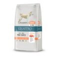 Quattro-Adult-All-Breed-Salmon-s