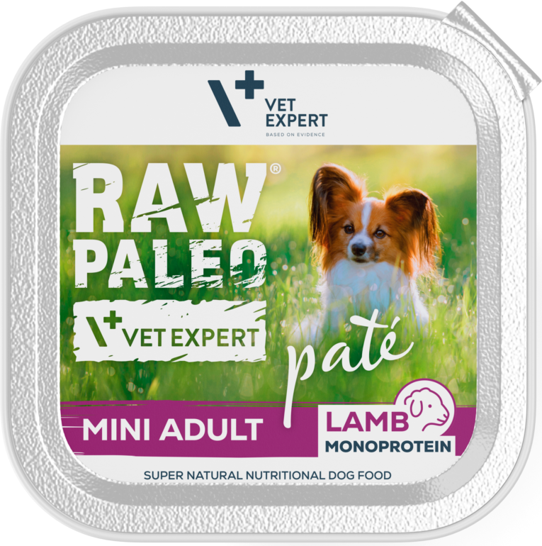 Raw-Paleo-Pate-Mini-Adult-pastetas-sunims-su-eriena-12-vnt