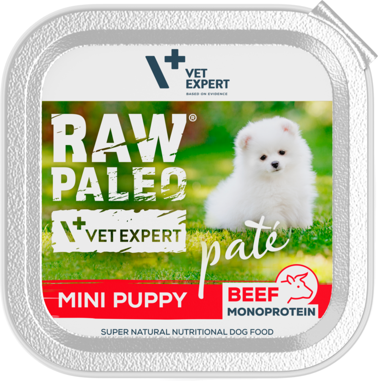 Raw-Paleo-Pate-Mini-Puppy-pastetas-suniukams-su-jautiena