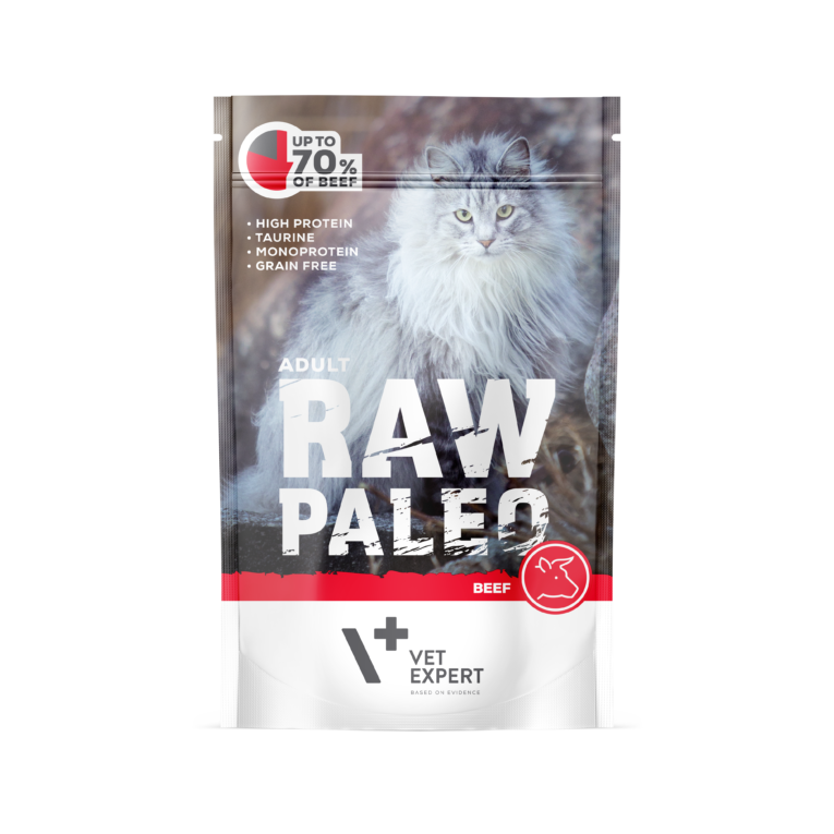 Raw-Paleo-adult-cat-Beef-pouch-100g