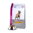 eukanuba-golden-retriever-adult-vistiena-12kg