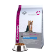 eukanuba-yorkshire-terrier-adult-vistiena-2kg