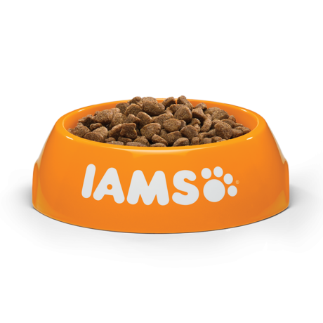 iams-adult-cat-eriena-10kg