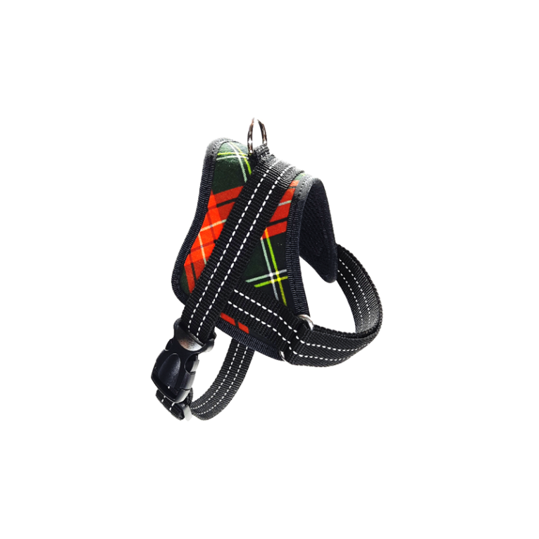 real-dog-petnesos-augintiniams-24-35cm-xs