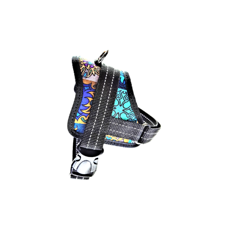 real-dog-petnesos-augintiniams-34-45cm-s-1