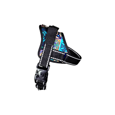 real-dog-petnesos-augintiniams-44-55cm-sm-1