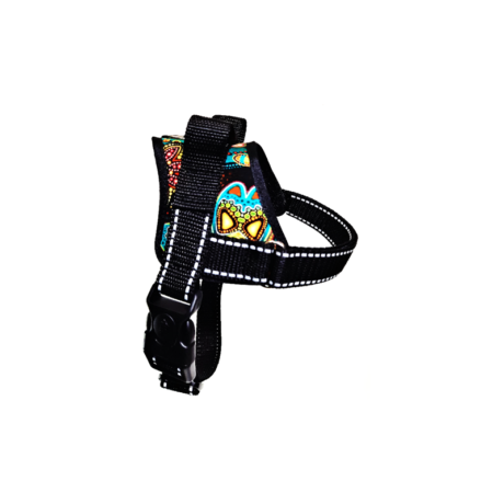 real-dog-petnesos-augintiniams-44-55cm-sm