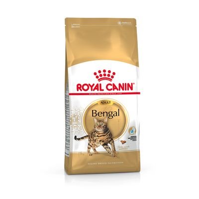 Royal-Canin-Bengal-Adult-sausas-maistas-katems