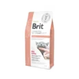 Brit-GF-Veterinary-Diets-Cat-Renal-Sausas-Maistas-katems-2-kg