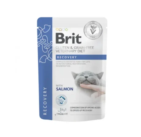 Brit-GF-Veterinary-Diets-Konservai-Katems-Recovery-12x85g