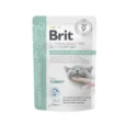 Brit-GF-Veterinary-Diets-Konservai-Katems-Urinary-and-Stress-Relief-12x85g