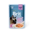 Brit-Premium-Cat-Delicate-Konservai-Katems-Salmon-for-Sterilised-in-Gravy-24x85g