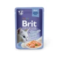 Brit-Premium-Cat-Delicate-Konservai-Katems-Salmon-in-Jelly-24x85g