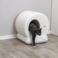 PHO_PRO_CAT_40040-2_SALL_AWK_V1