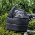 PHO_PRO_DOG_13108-2_SALL_AWK_V1