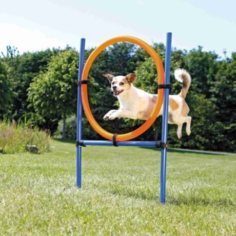 PHO_PRO_DOG_3208-1_SALL_AWK_V1