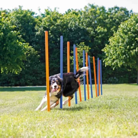 Trixie-Linksmas-Agility-Slalomas-3x115-cm
