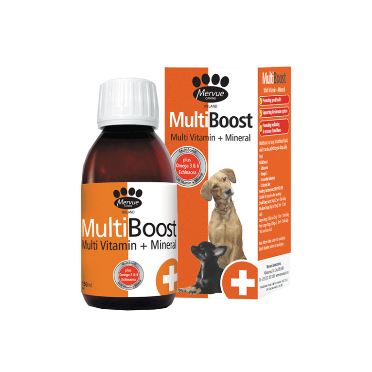 Mervue-MultiBoost-multivitaminai-sunims-150-ml