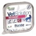 0003720_m14656-monge-vetsolution-cat-wet-recovery-100-g