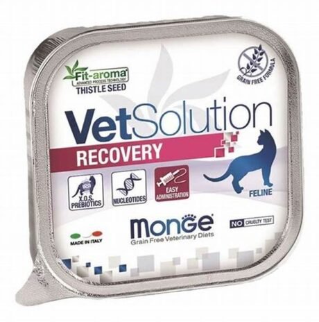 0003720_m14656-monge-vetsolution-cat-wet-recovery-100-g