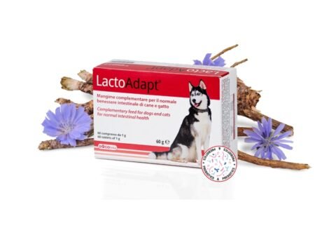 DOGOTEKA-LactoAdapt-60-60-tabl