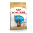 Royal-Canin-Dachshund-Puppy-sausas-maistas-sunims-1.5-kg-1