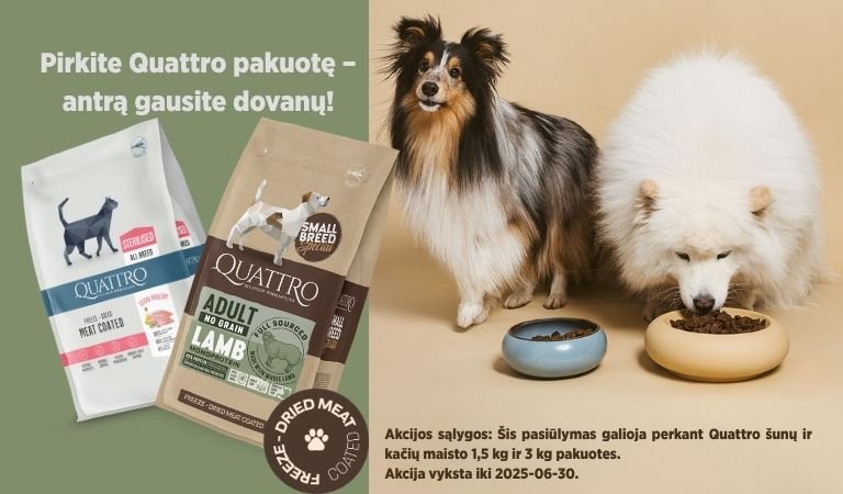 Pirkite-Quattro-pakuote-–-antra-gausite-dovanu