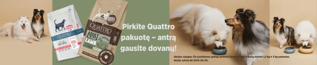 Pirkite-Quattro
