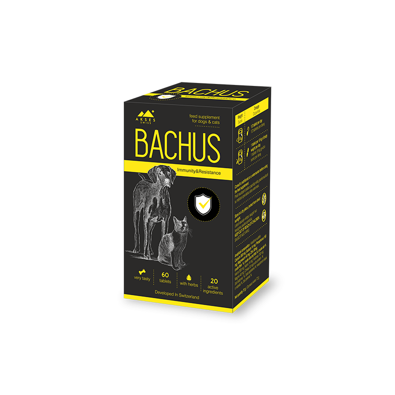 Bachus-Immunity-Resistance-papildai-sunims-ir-katems-60-tabl