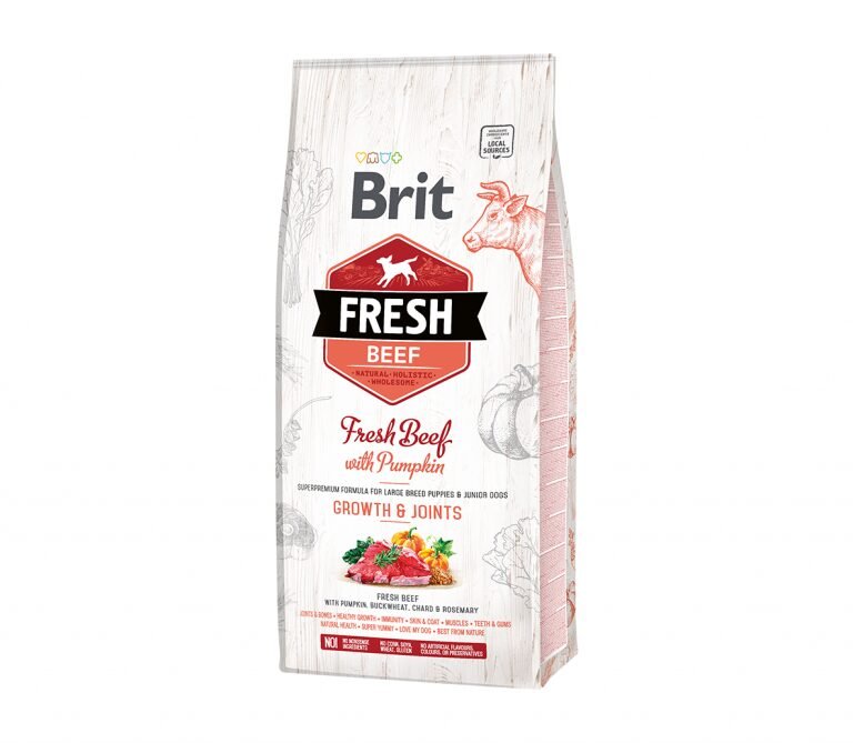 Brit-Fresh-Beef-with-Pumpkin-Puppy-Large-12-kg