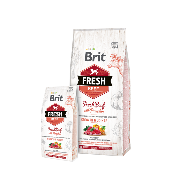 Brit-Fresh-Beef-with-Pumpkin-Puppy-Large-2.5-kg