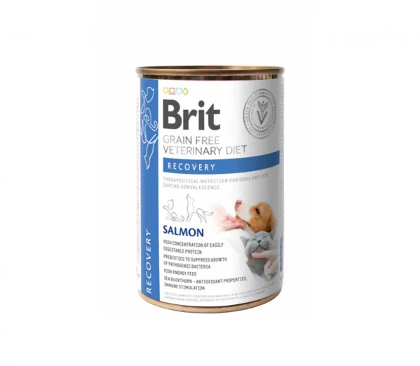 Brit-GF-Veterinary-Diets-Konservai-Sunims-ir-katems-Recovery-6x400g