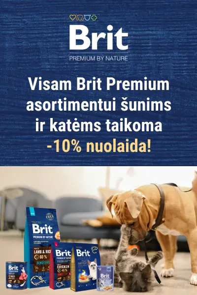 Brit Premium x