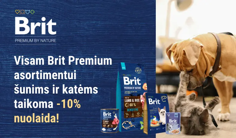 Brit Premium x