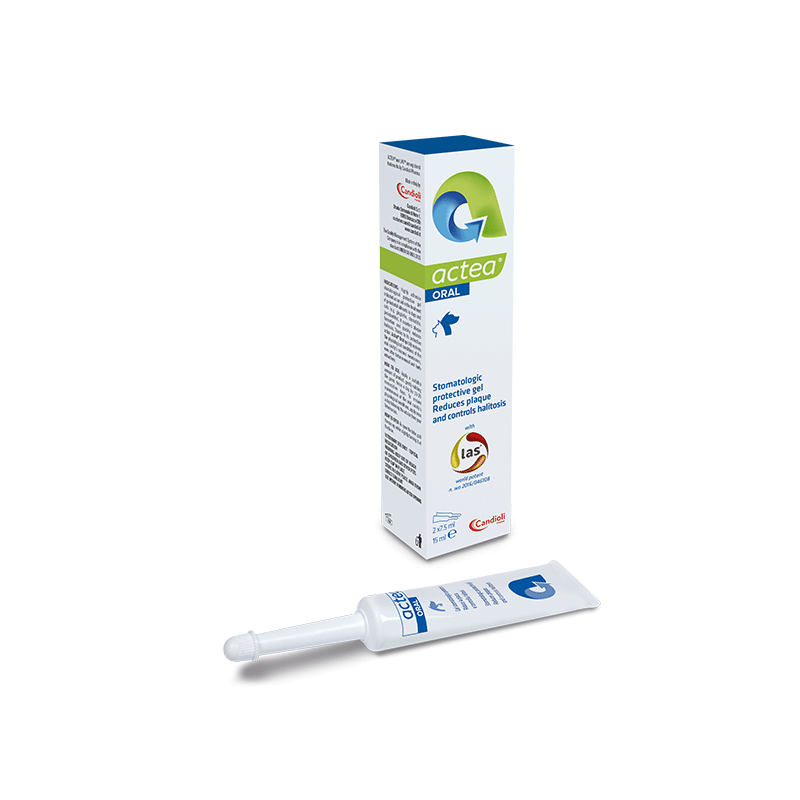 Candioli-Actea-Oral-stomatologinis-gelis-sunims-ir-katems-15-ml