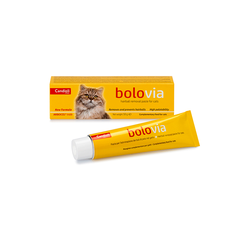 Candioli-Bolo-Via-pasta-nuo-plauku-kamuoliuku-katems-50-g