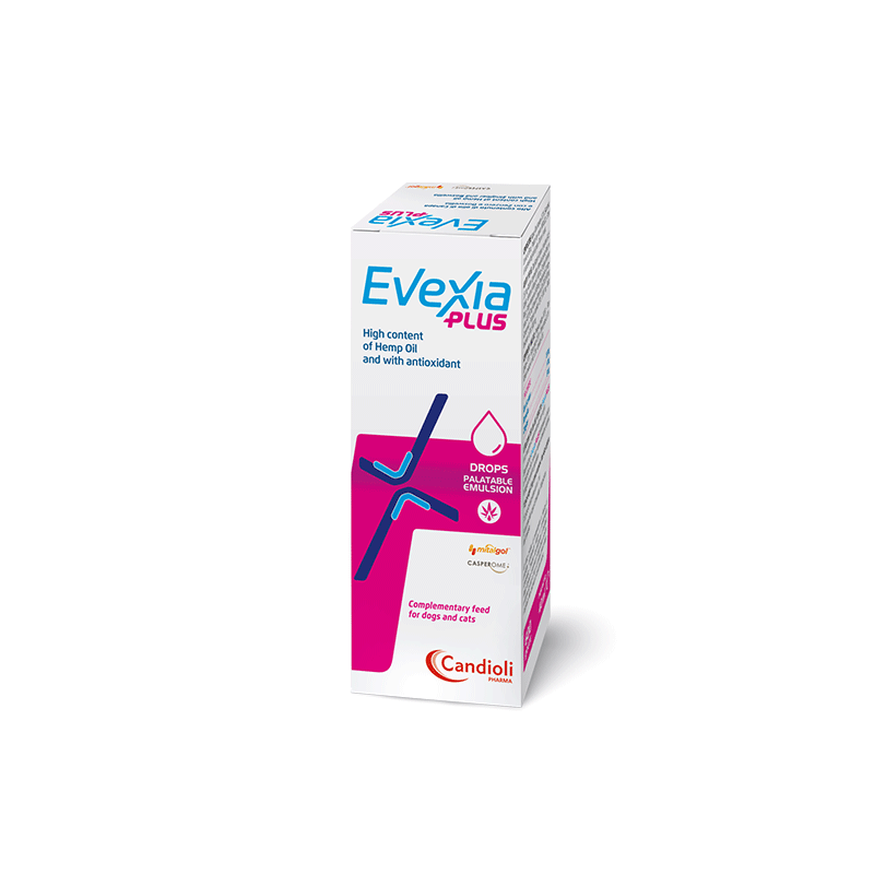 Candioli-Evexia-Plus-lasai-sunims-ir-katems-40-ml