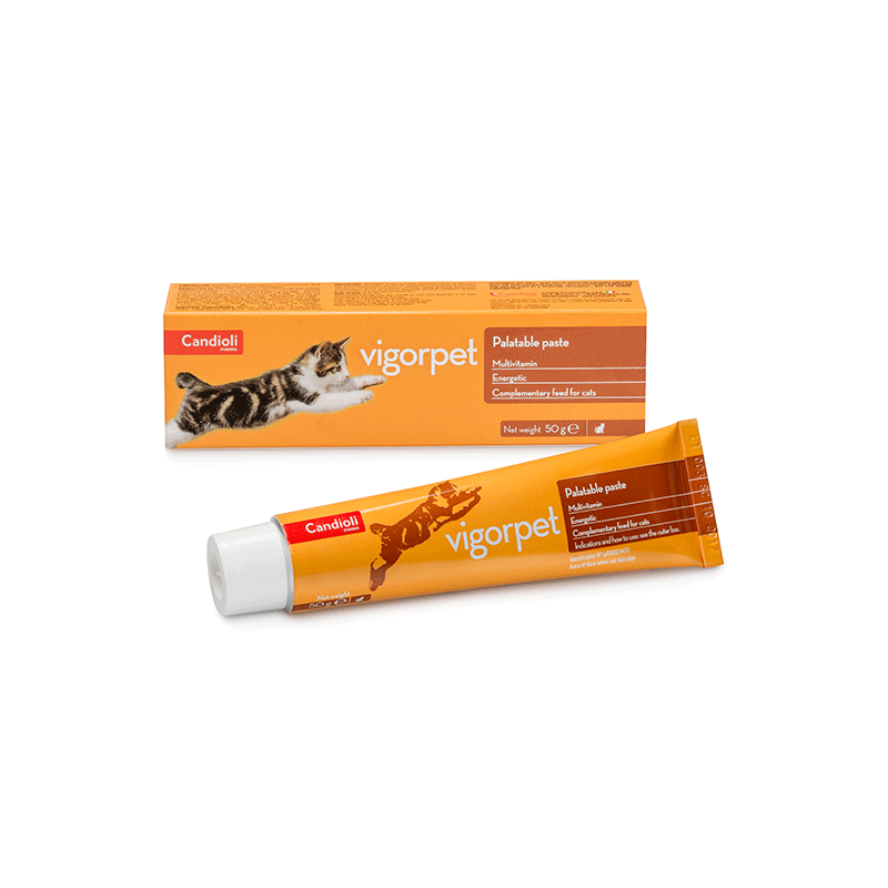 Candioli-Vigorpet-multivitaminu-pasta-katems-50-g