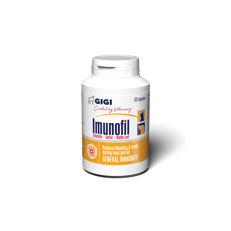 GIGI-Imunofil-papildai-sunims-ir-katems-60-tabl